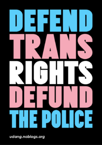 "Defend trans rights, defund the police" in trans pride colours on a black background