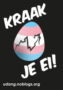 Trans pride-coloured egg with a crack in the shape of the squatter symbol. The image has the text "Kraak je ei"