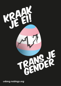 Trans pride-coloured egg with a crack in the shape of the squatter symbol. The image has the text "Kraak je ei, trans je gender"